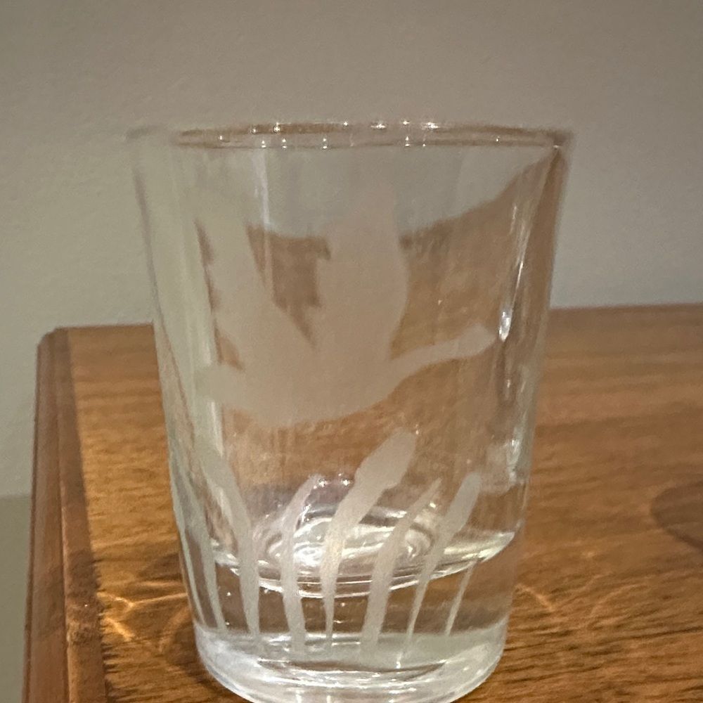 Four Etched Glass Tumblers - Duck Themed